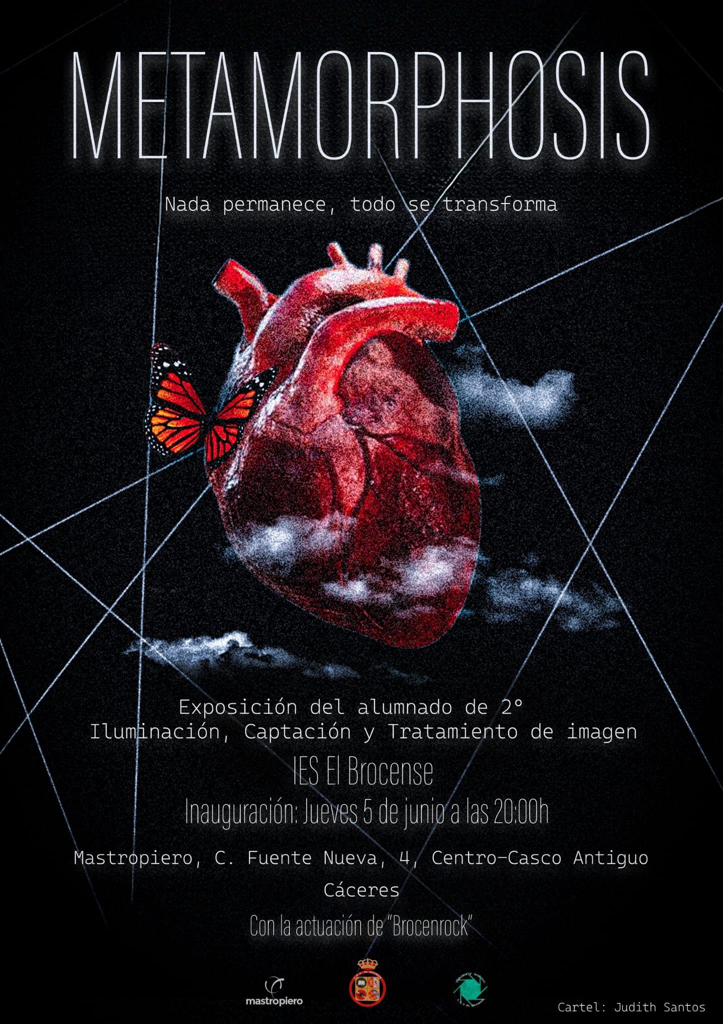 METAMORPHOSIS Exposicion Cáceres